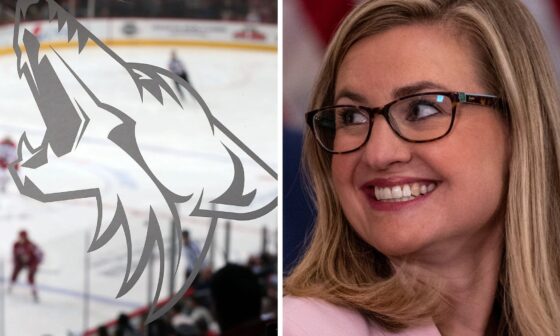 Can Phoenix be home to the Coyotes? What City Council members are saying