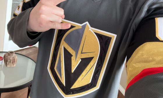 We haven't lost a regulation game this season yet when I've worn it. Let's hope this holds. Go knights