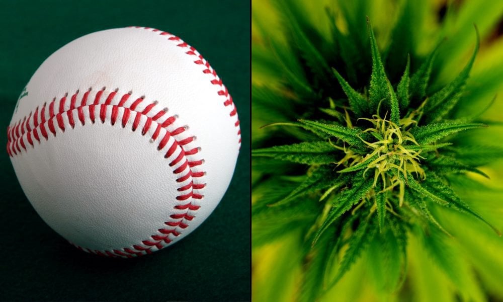 Kansas City Royals Become Second MLB Team To Partner With CBD Company -- The Pure Spectrum and Royals partnership launched with the grand opening of a new “Pure Spectrum Lodge” at Kauffman Stadium last Friday.