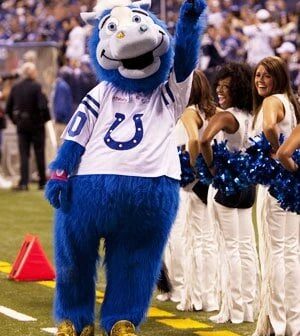 [Jim Irsay] Happy #NationalMascotDay to this guy. He's hilarious and a nut-job---but he's OUR nut-job, and he's a superstar with the unselfish work he does for kids and the community...@blue !!!