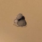 [sportswatch] Last time Nuggets got this far, they were stopped on Long Island by a Long Island player. #NBAFinals