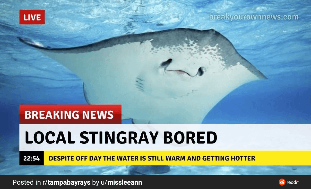 Rays have an off day to prevent further damage... let's talk trades, what should we do before August 1st?