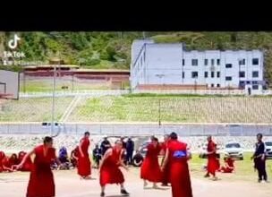 They be hoopin' globally