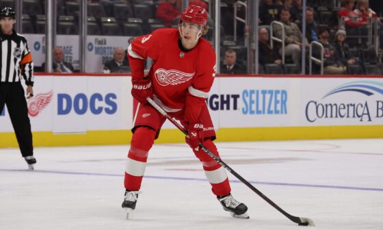 Ranking the top Red Wings prospects, projecting the Atlantic race: Mailbag part 2 by Max Bultman