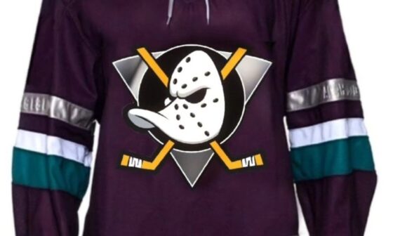 Your weekly /r/anaheimducks roundup for the week of June 26 - July 02