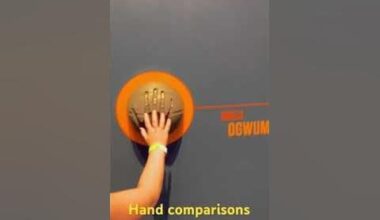 Hand comparisons of basketball pros