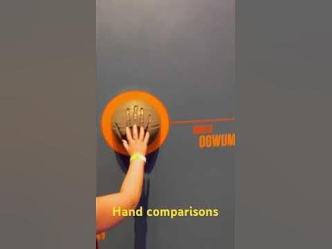 Hand comparisons of basketball pros
