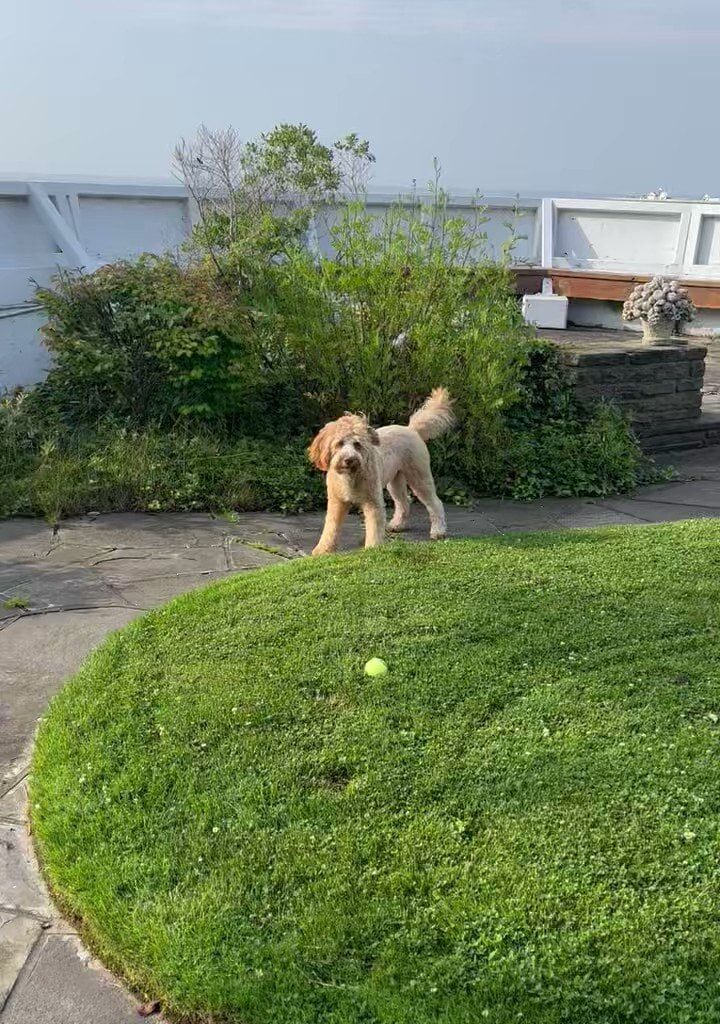 Tripp grows two cucumbers and reaches 15 months sober