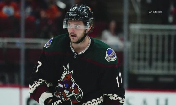 [12 News] 'I'm gonna chop you': Former Coyotes player allegedly threatened Scottsdale cops