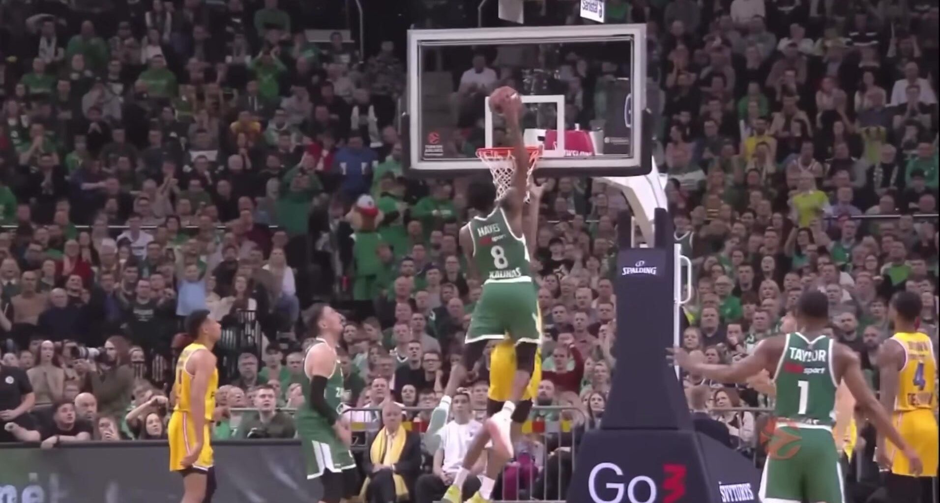 TikTok · ŽalgirisFTW