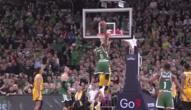 TikTok · ŽalgirisFTW