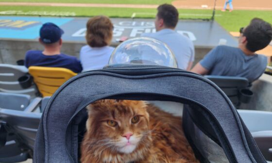We brought Tora to his first baseball game for "Anything on a Leash" Day at CHS Field. A few players said hi to him before the game.