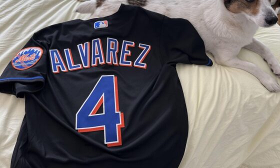 Mets make it way too hard to get an authentic Alvarez jersey. Good thing Stitches does great work
