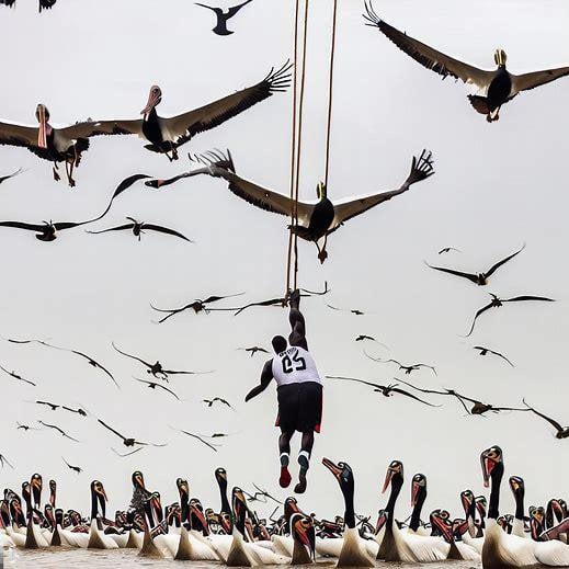 How many Pelicans would it take to reasonably evacuate Zion Williamson in the event of a flood?