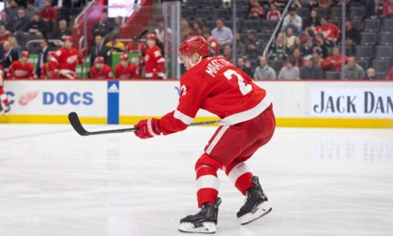 Sorting Out What the Red Wings Defense Will Look Like
