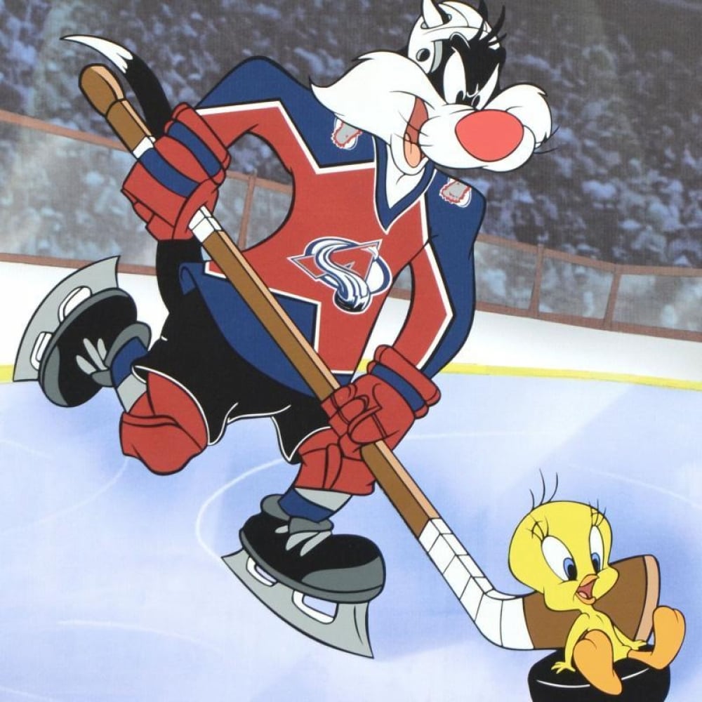 Never knew they did hockey inspired Looney Toons!