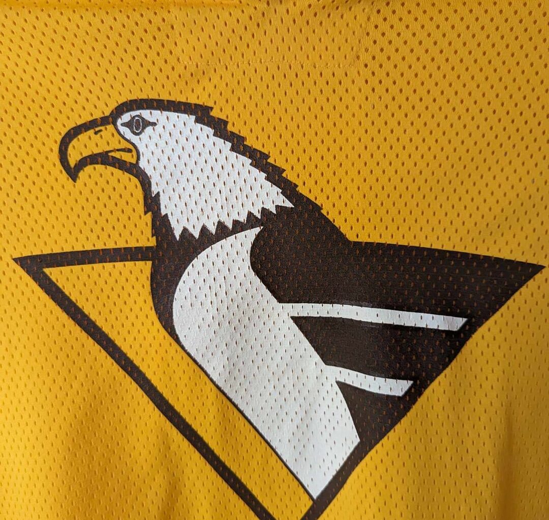 Trying to identify ice hockey team