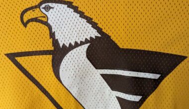 Trying to identify ice hockey team