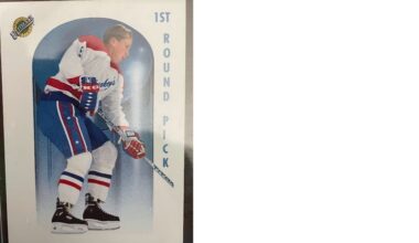 Cataloging my collection to give to my kids