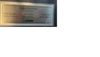 Still Cataloguing My hockey Stuff, this might be my favourite stuff