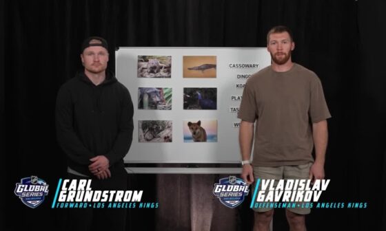 Coyotes and Kings players guess Australian animals