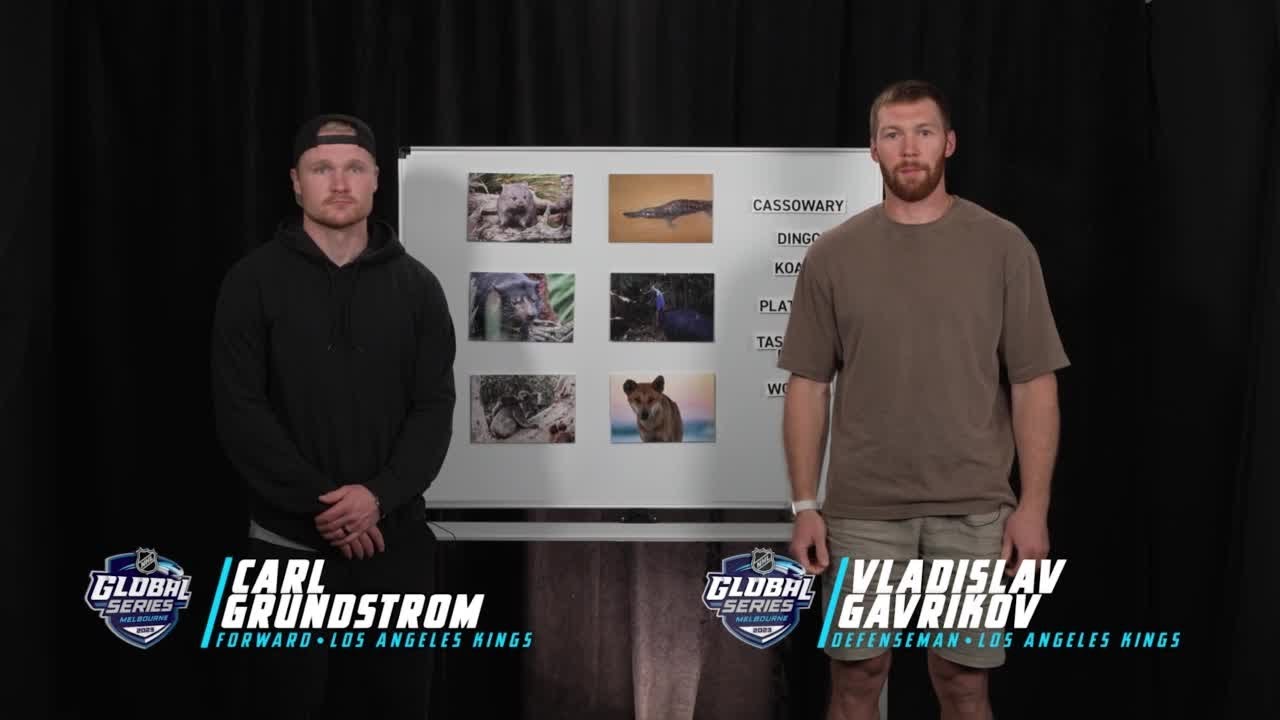 Coyotes and Kings players guess Australian animals