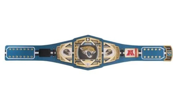 Not sure how many are wrestling fans but WWE partnered with the NFL Shop to make a championship belt for each team. Check photo for story.
