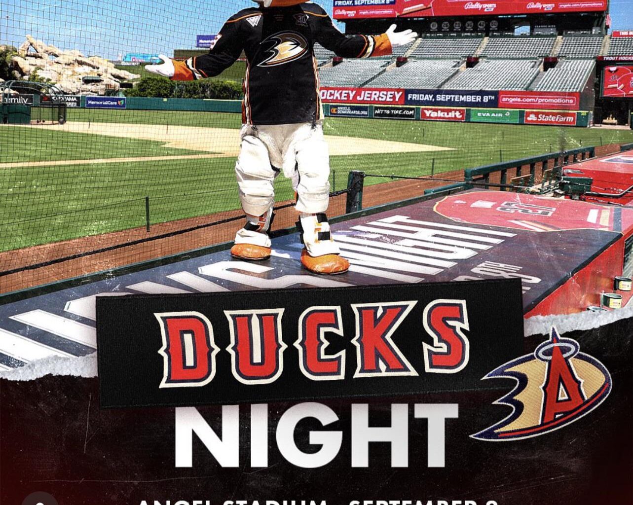 Anyone else coming to Ducks night ?