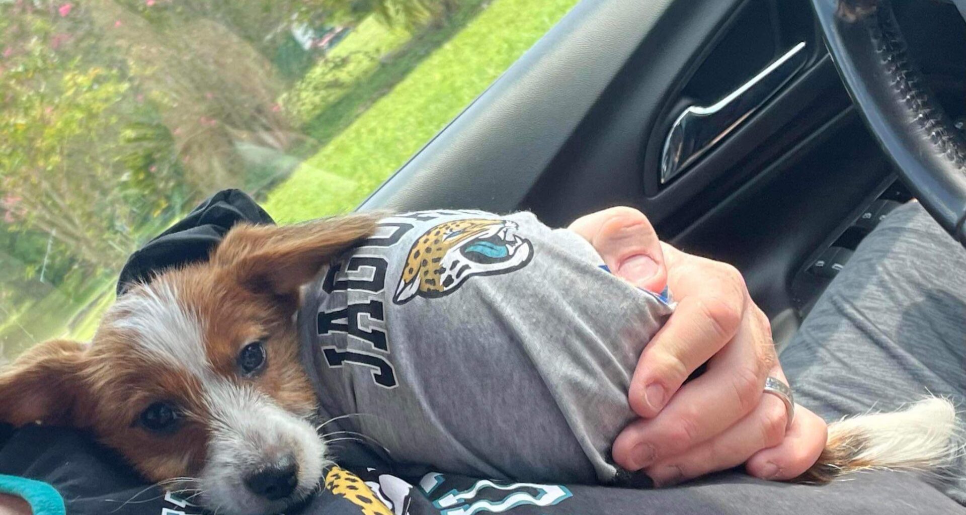 Trevor is ready for game day!