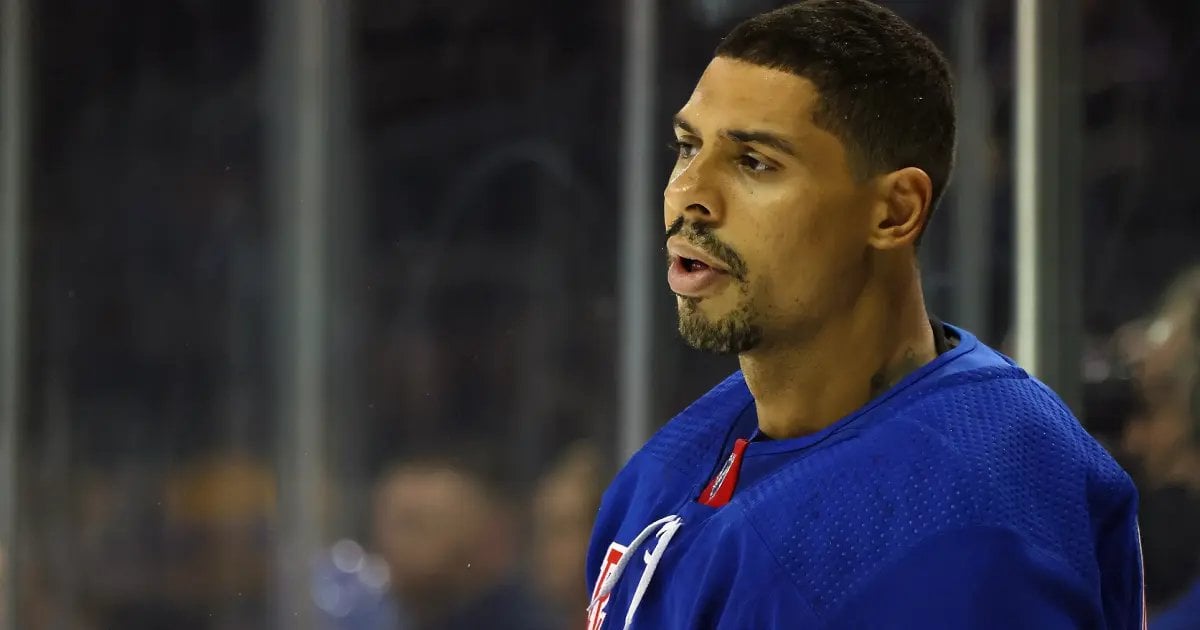 Ryan Reaves details physical altercation with NHL head coach.