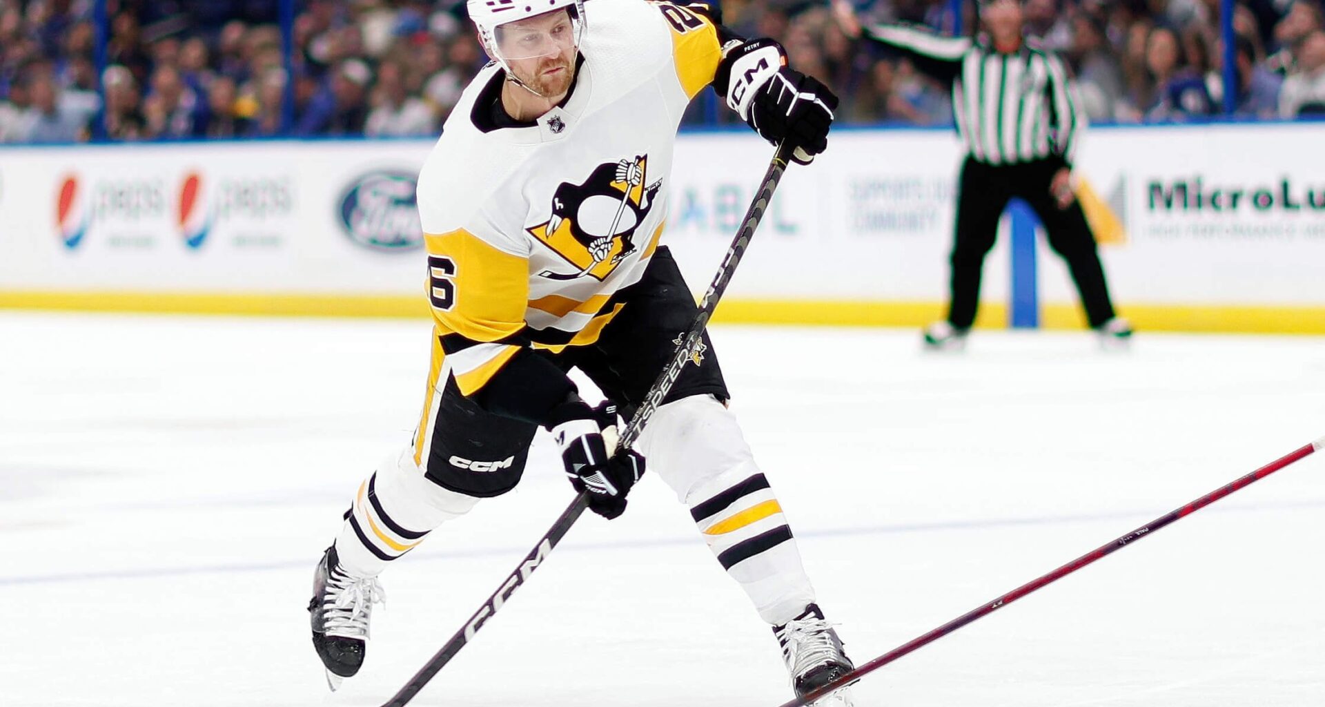 With Red Wings, Jeff and Dan Petry catch a dream by Max Bultman