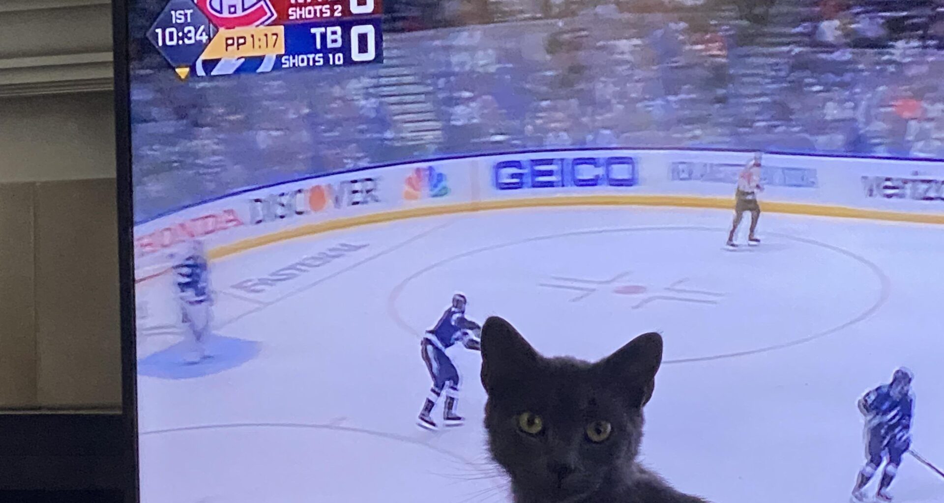 Your weekly /r/tampabaylightning roundup for the week of August 28 - September 03