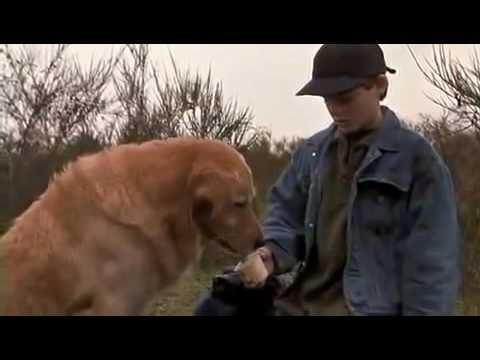 When I see a former A's player finally thriving now that they were traded from the team. Be free, Matt Olson (he now has 50 home runs)!