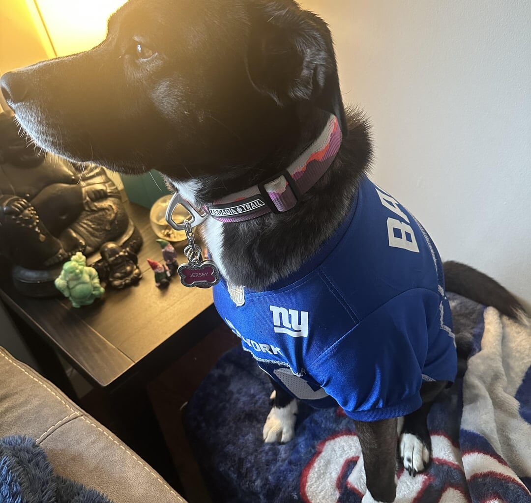 Jersey is ready for another season!!