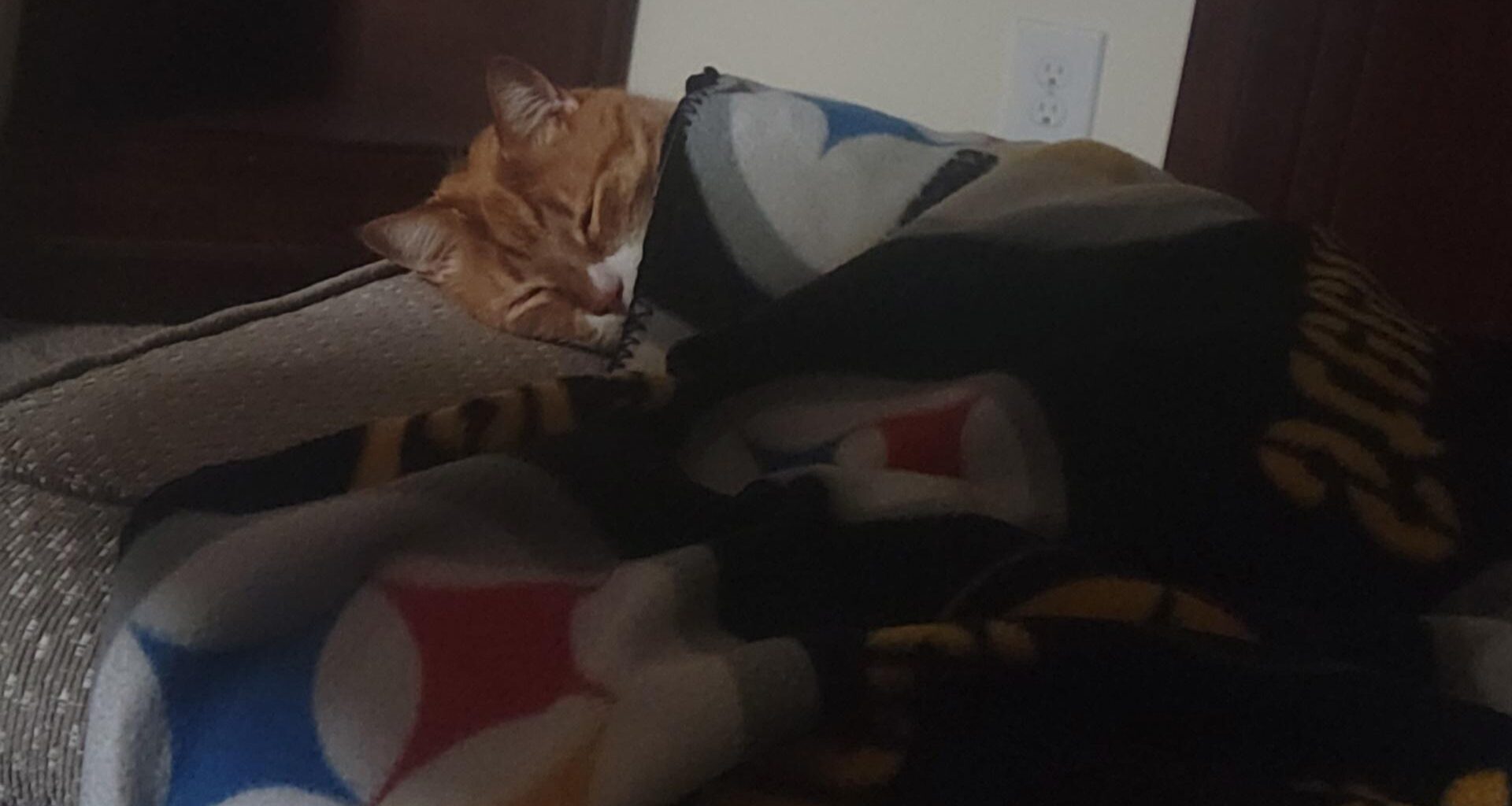 Dreaming about a Steelers win!