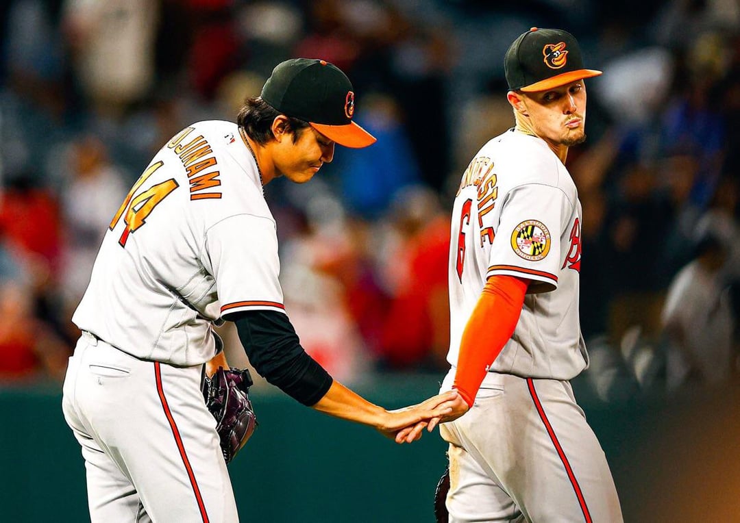 I want someone to look at me the way Mounty looks at Fuji: