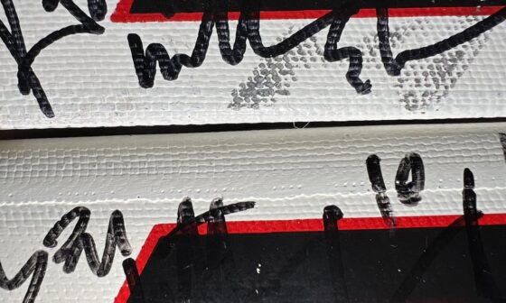 Does anybody recognize this autograph? Two Cujo sticks signed by 02-03 Wings Team, but I don't know who this #10 player is.
