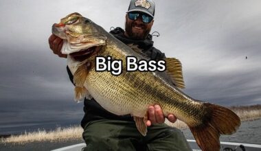 TikTok · Carisimo (Gods Version)✝️💙🏈