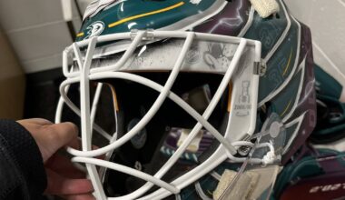 Ducks' goalie Lukáš Dostál has a brand new special mask and pads for the Ducks' 30th anniversary season.