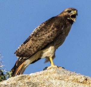 IT IS WEEK 1 MY DUDES. GET TF UP 😤😤😤