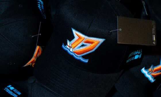 Bowie Baysox Love? Recently we made some hats for their Community Night and threw the first pitch! Thoughts?