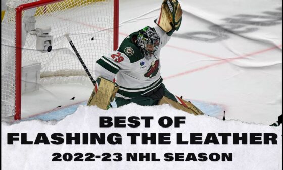 Flashing the Leather: Best Glove Saves from 2022-23