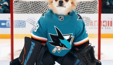 Any Chihuahua loving Sharks fans?