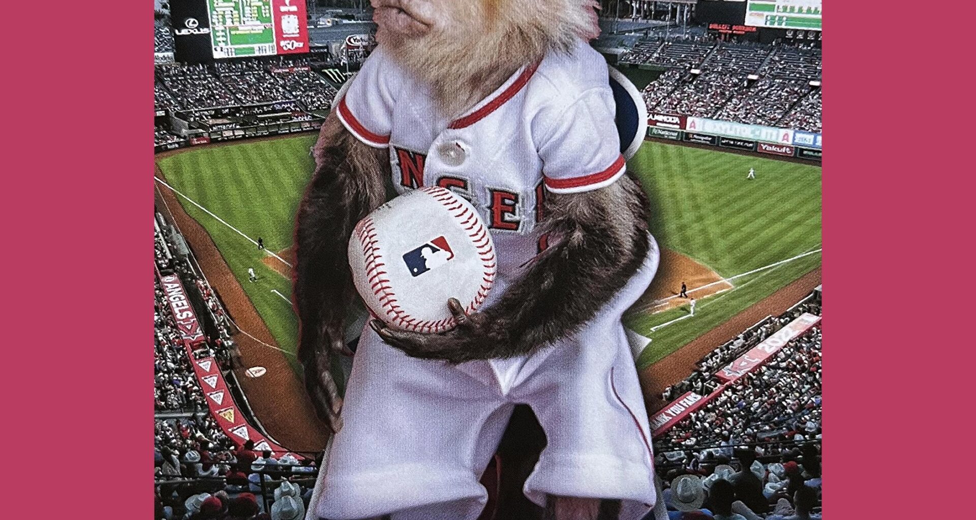 Rally Monkey in card form!
