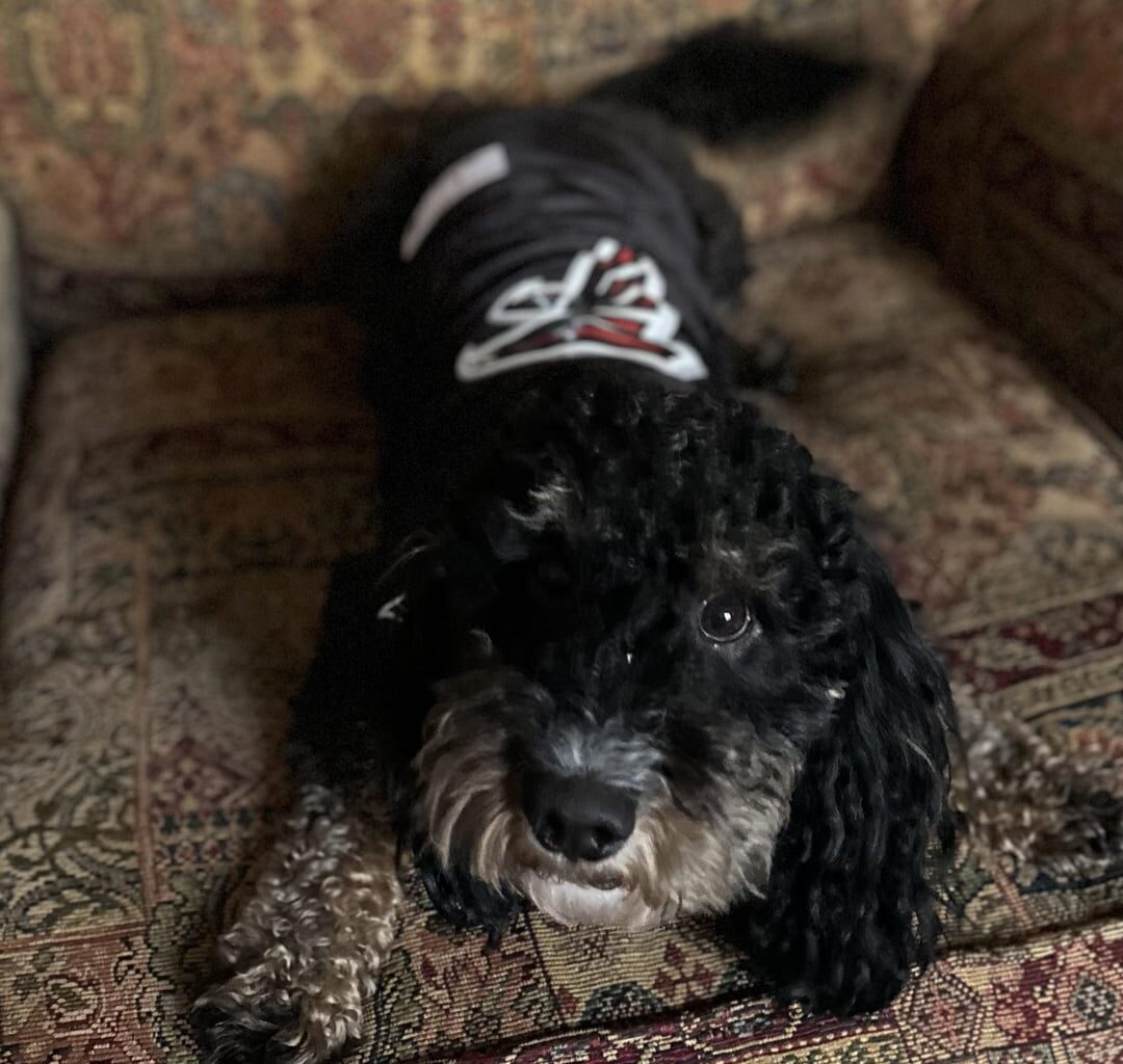 Nuby and Opie are pumped for game day, are you?