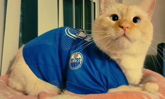 Today Beans wears his jersey with pride!