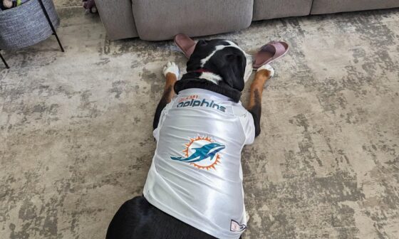 Sonny is ready to go for Friday! Happy Thanksgiving Fins' Fam!
