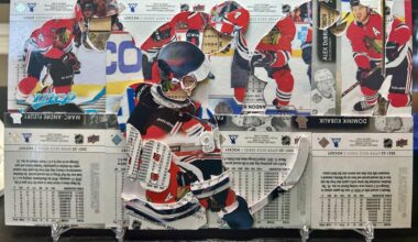 Connor Bedard celebrating with the bench, made entirely out of hockey cards