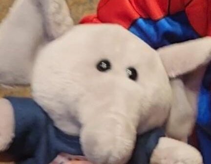 Lost future met fan's NYM stuffie...WHERE CAN I find this guy?