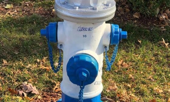 My dad got permission from his local fire department to paint his fire hydrant. LFG!!!